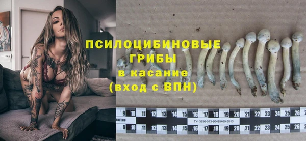 спиды Кодинск