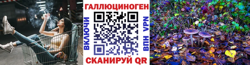 Псилоцибиновые грибы GOLDEN TEACHER  Купить закладки  Разумное 
